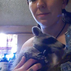 Meet your Posher, Sierra